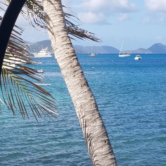 Meet your Posher, Diane - Picture 1 of 1